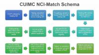 CUIMC NCI-Match Schema